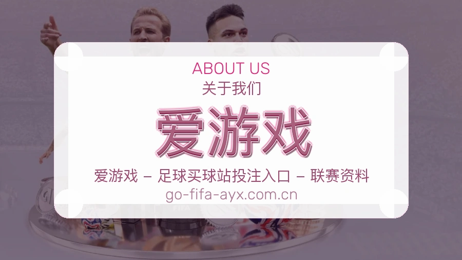 爱游戏关于我们